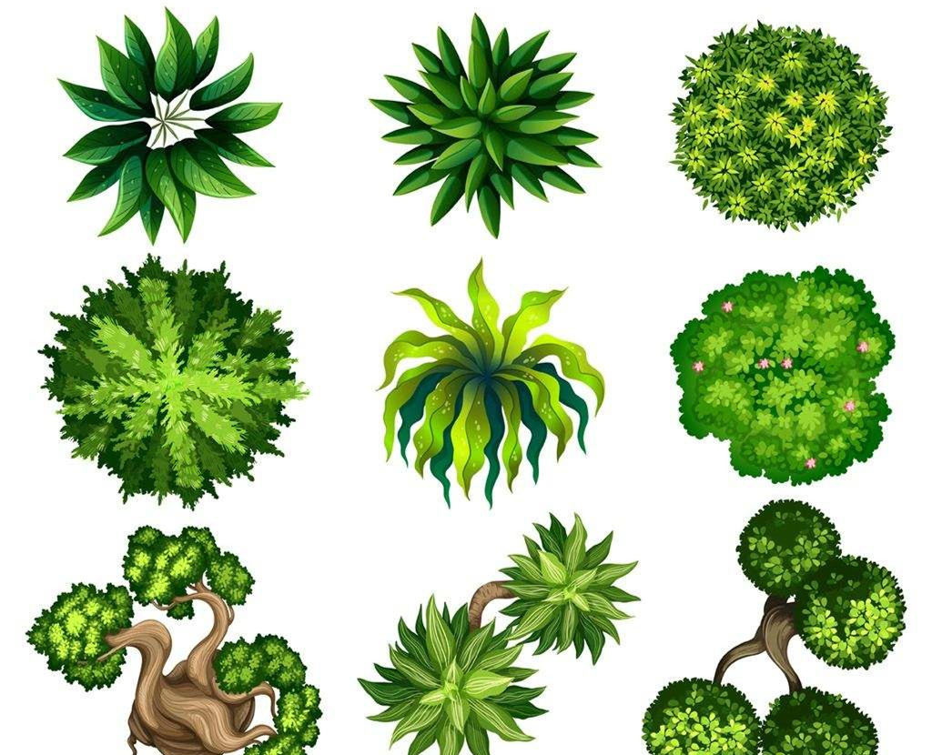 可以凈化室內空氣的植物，這二十種您需要好好了解一下！