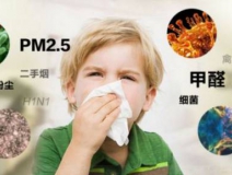 除甲醛公司也有貓膩？該怎么認準有效的除甲醛公司