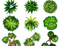 可以凈化室內(nèi)空氣的植物，這二十種您需要好好了解一下！