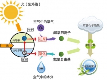 什么甲醛治理辦法效果好持續時間長？