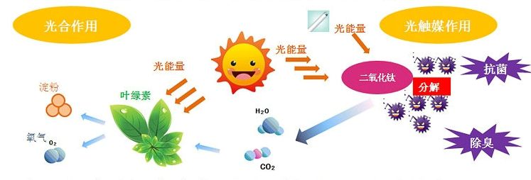 光觸媒去除房間甲醛爭議很大？